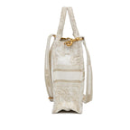 Dior Mini Jardin D'Hiver Vertical Book Tote (SHG-nTO8ze)