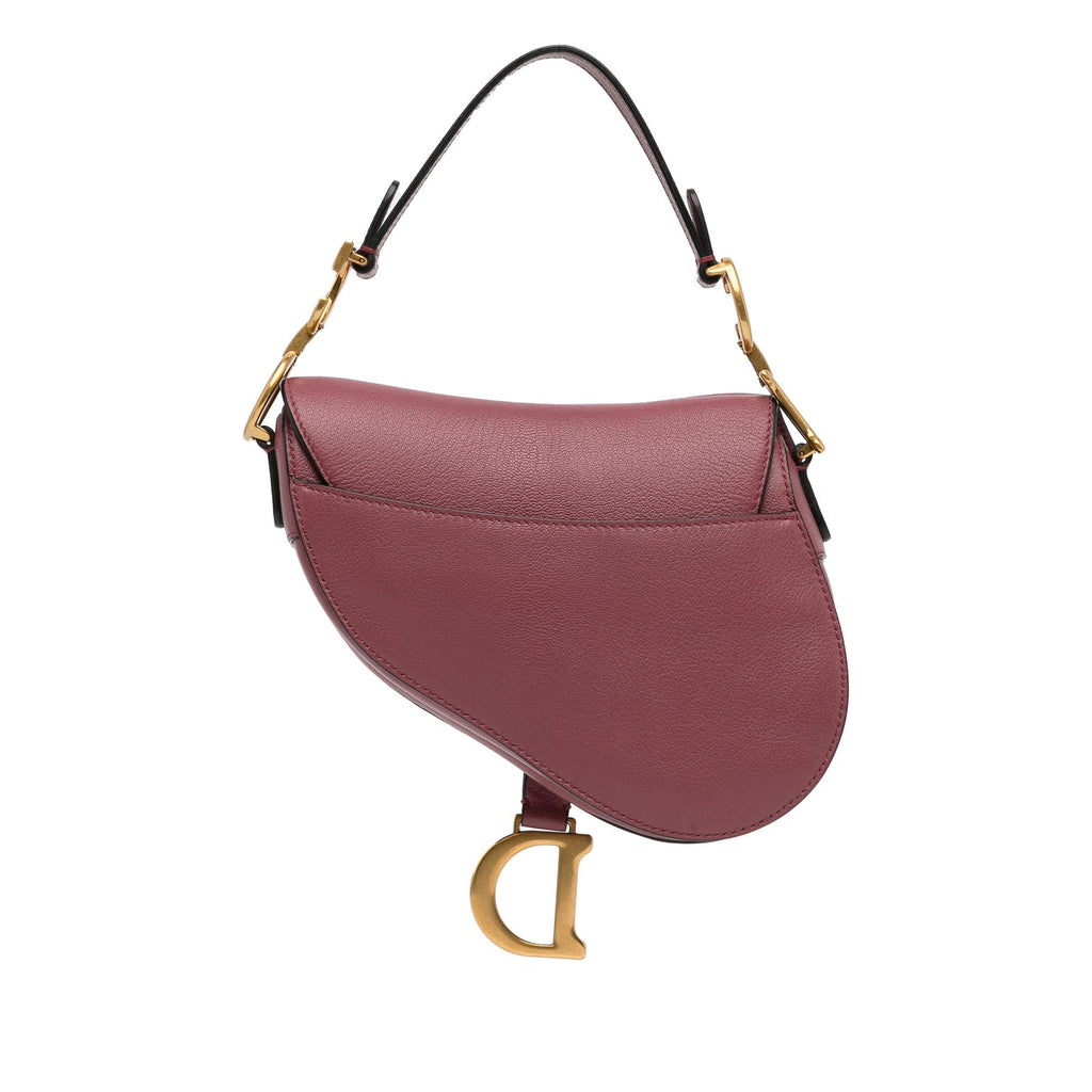 Dior Mini Leather Saddle Bag (SHG-F74MwD)