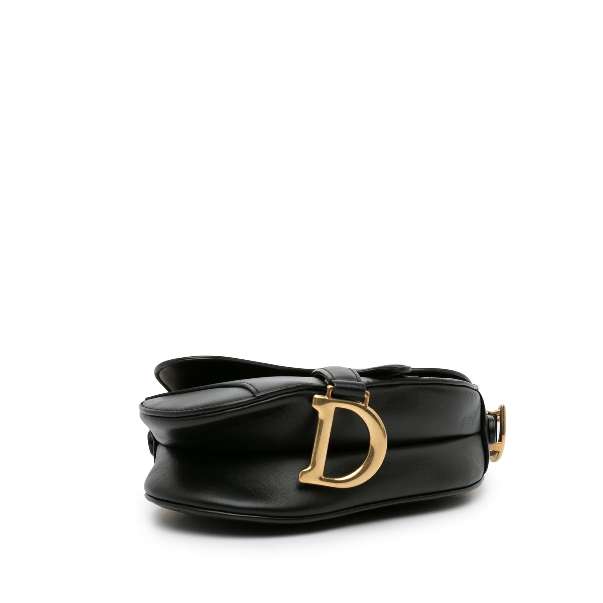 Dior Mini Leather Saddle (SHG-KMGSky)