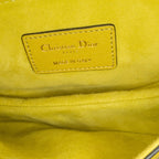 Dior Mini Leather Saddle (SHG-DAml12)