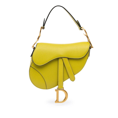 Dior Mini Leather Saddle (SHG-DAml12)