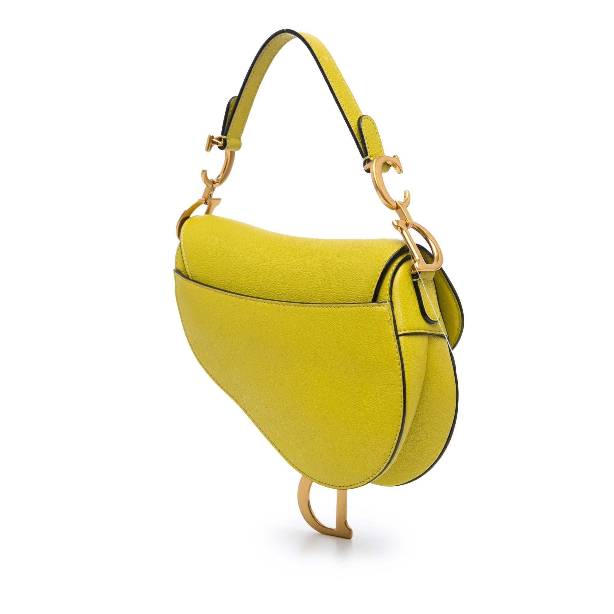 Dior Mini Leather Saddle (SHG-DAml12)