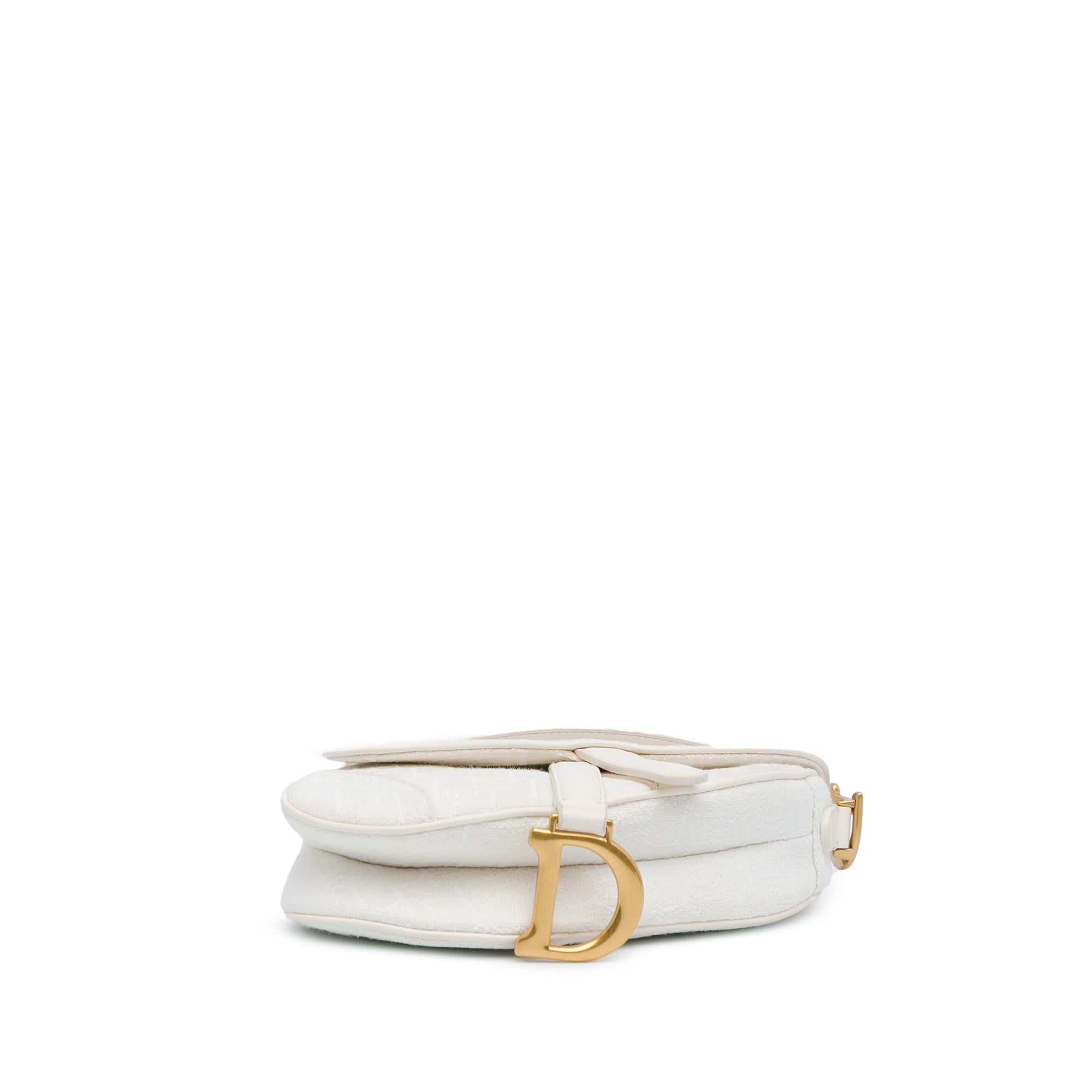 Dior Mini Oblique Saddle (SHG-F5ghi9)