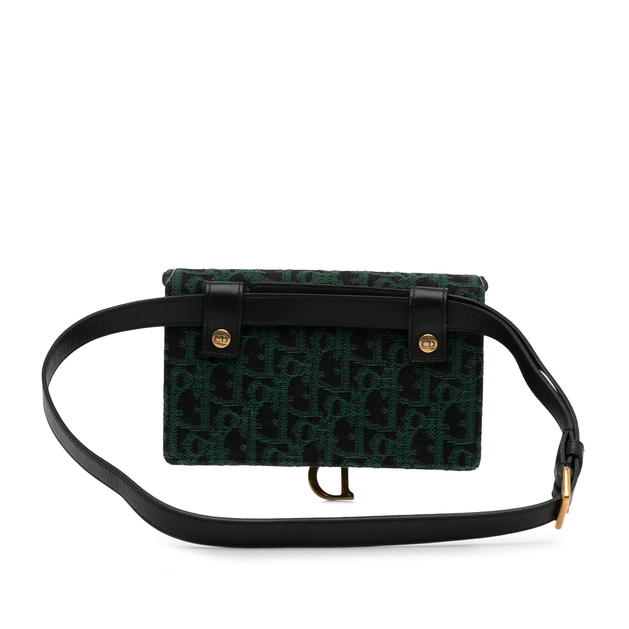 Dior Oblique Saddle Belt Bag (SHG-nr8WZH)
