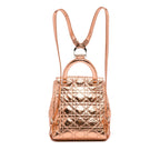 Dior Small Metallic Cannage Stardust Backpack (SHG-Ep0Yhg)