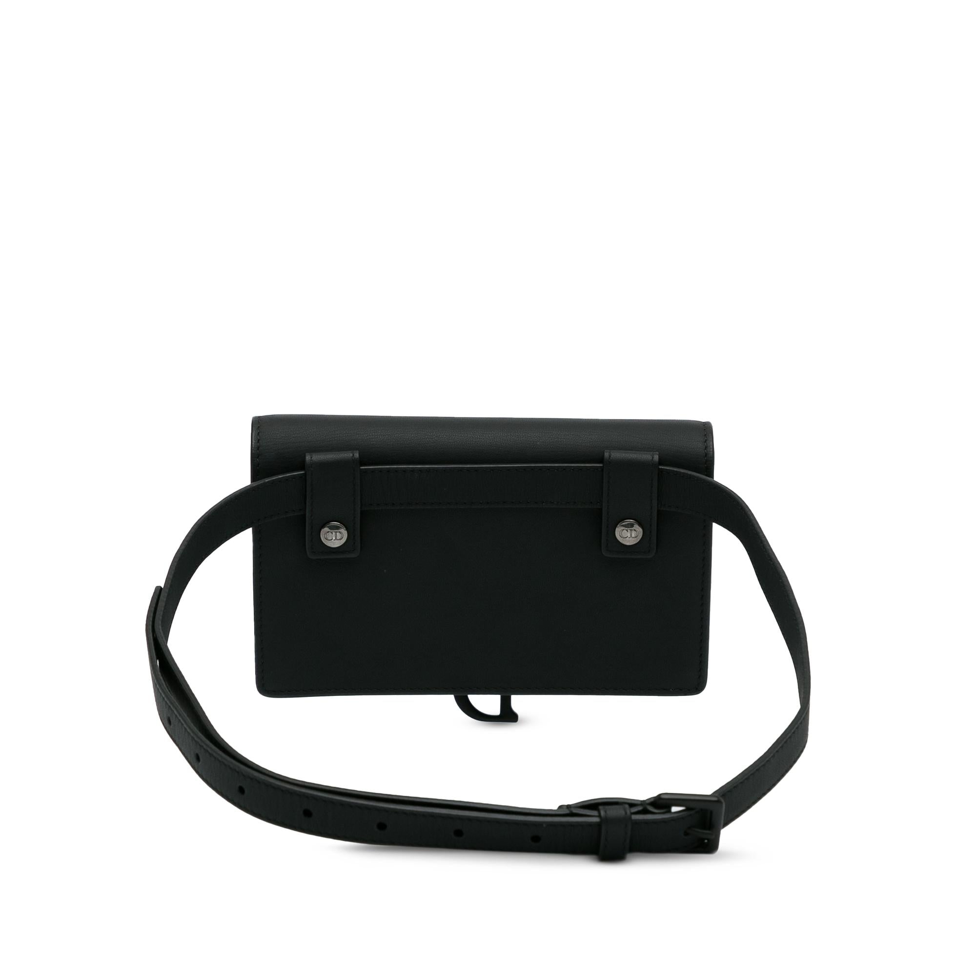 Dior Ultramatte Saddle Belt Bag (SHG-vzFIGN)