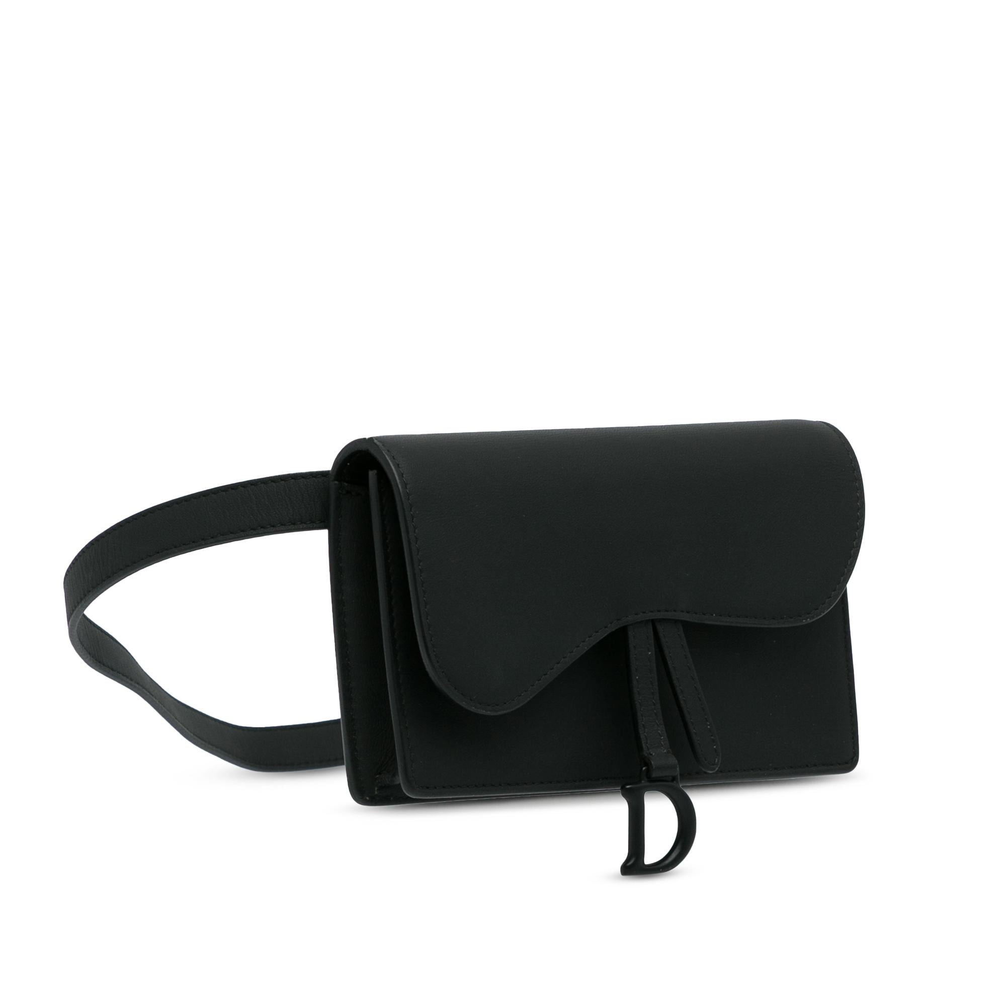 Dior Ultramatte Saddle Belt Bag (SHG-vzFIGN)