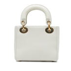 Dior x Niki De Saint Phalle Dioramour Mini Lady Dior (SHG-iRbwiN)
