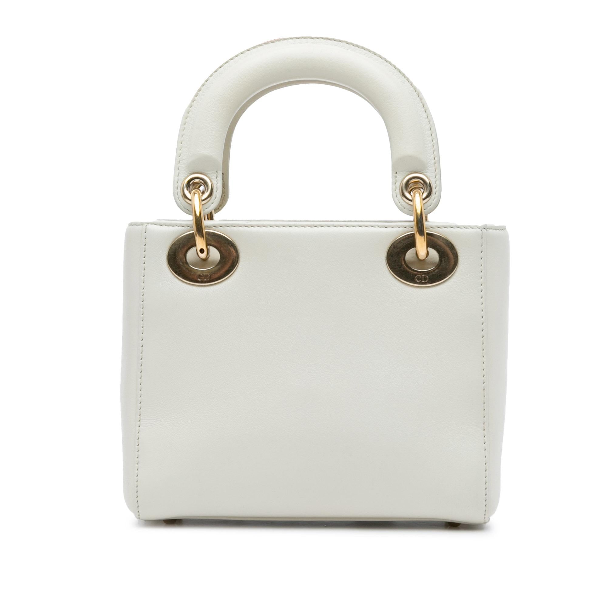 Dior x Niki De Saint Phalle Dioramour Mini Lady Dior (SHG-iRbwiN)