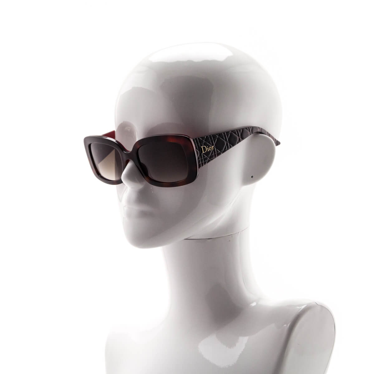 Dior Brown & Red Lady Lady2 Sunglasses