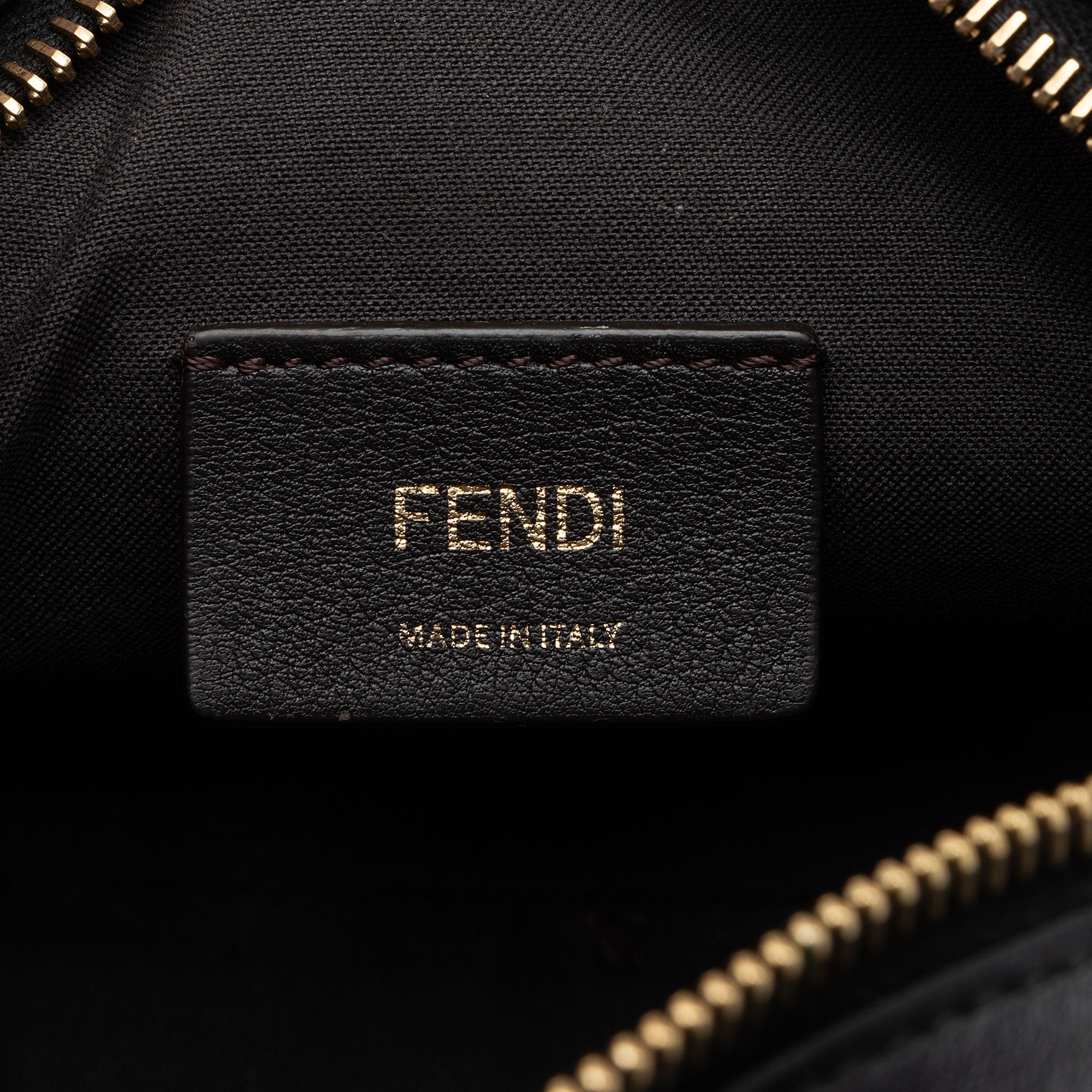 Fendi FF Coated Canvas 1974 Mini Camera Bag (SHF-MMT6uv)