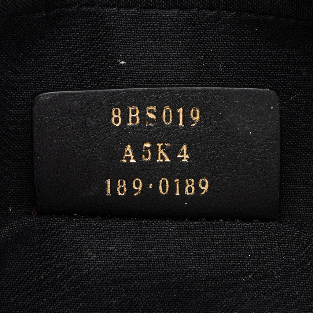 Fendi FF Spalmati Mini Camera Bag (SHF-ug7pdU)