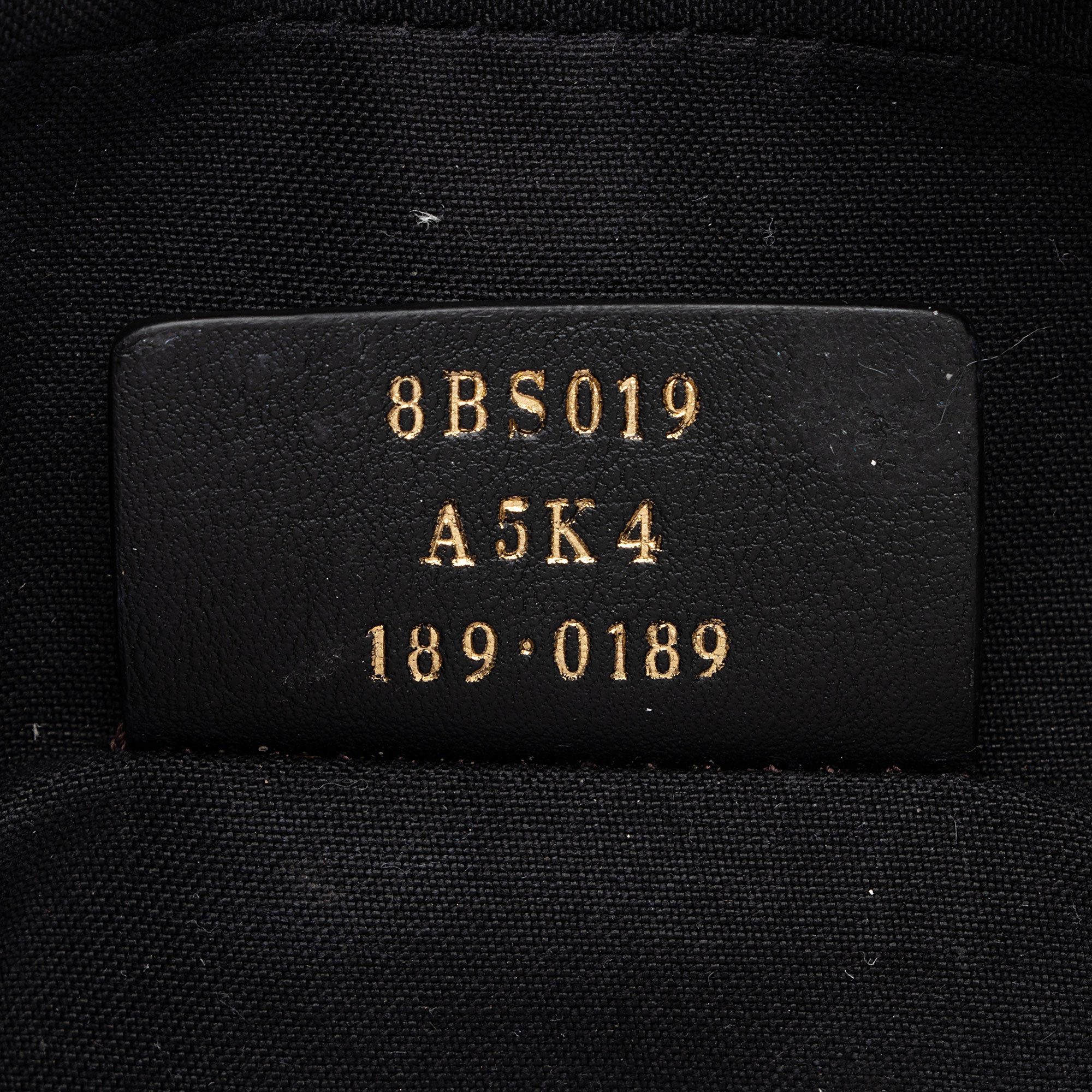 Fendi FF Spalmati Mini Camera Bag (SHF-ug7pdU)
