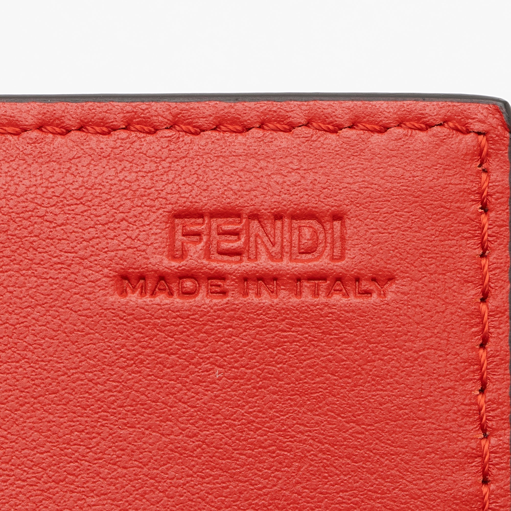 Fendi Leather Dotcom Wallet on Chain Bag (SHF-bVY1rz)