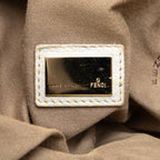 Fendi Leather Spy Handbag (SHG-D0XvGn)