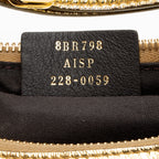 Fendi Metallic Leather Fendigraphy Small Hobo (SHF-k6ARkM)
