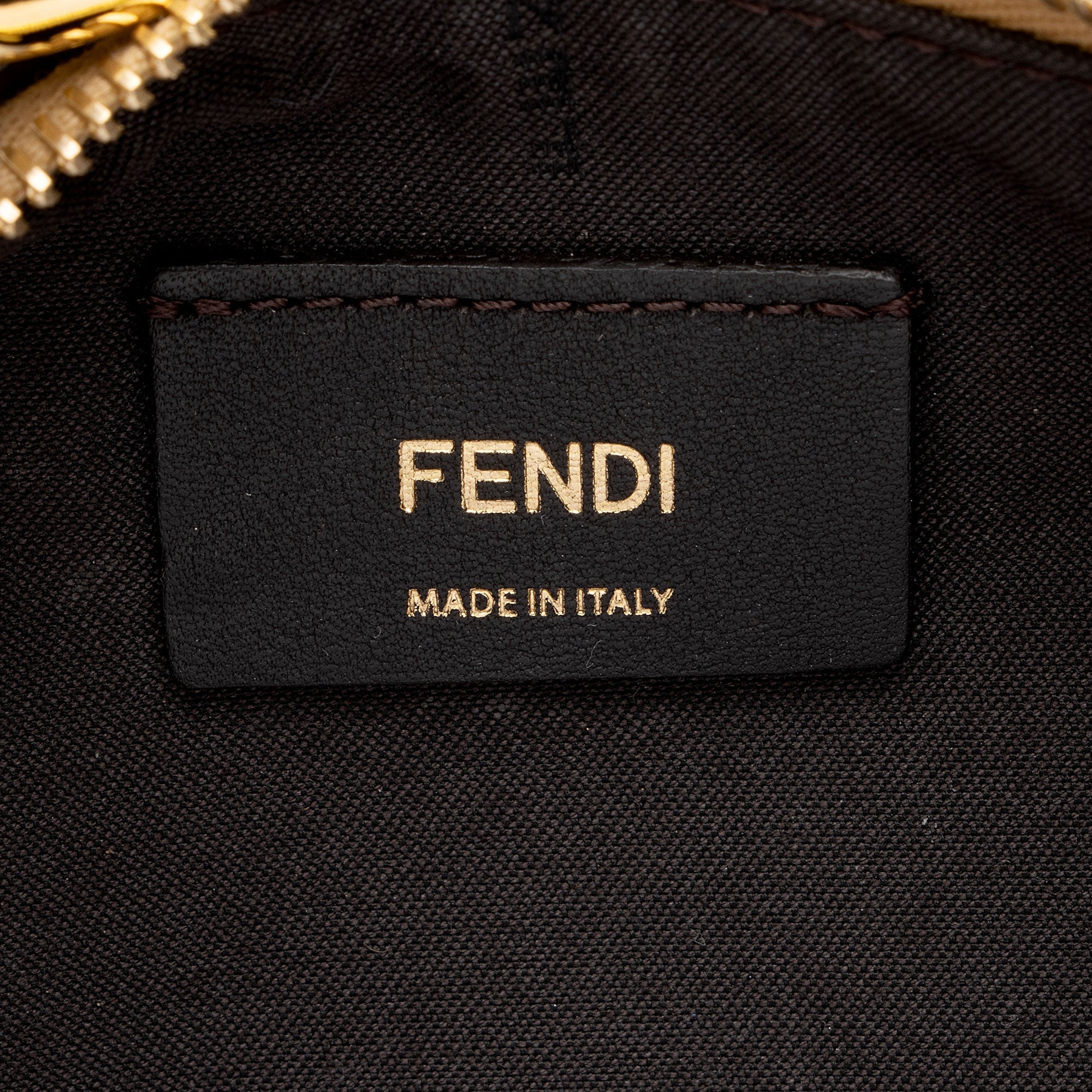 Fendi Metallic Leather Fendigraphy Small Hobo (SHF-k6ARkM)