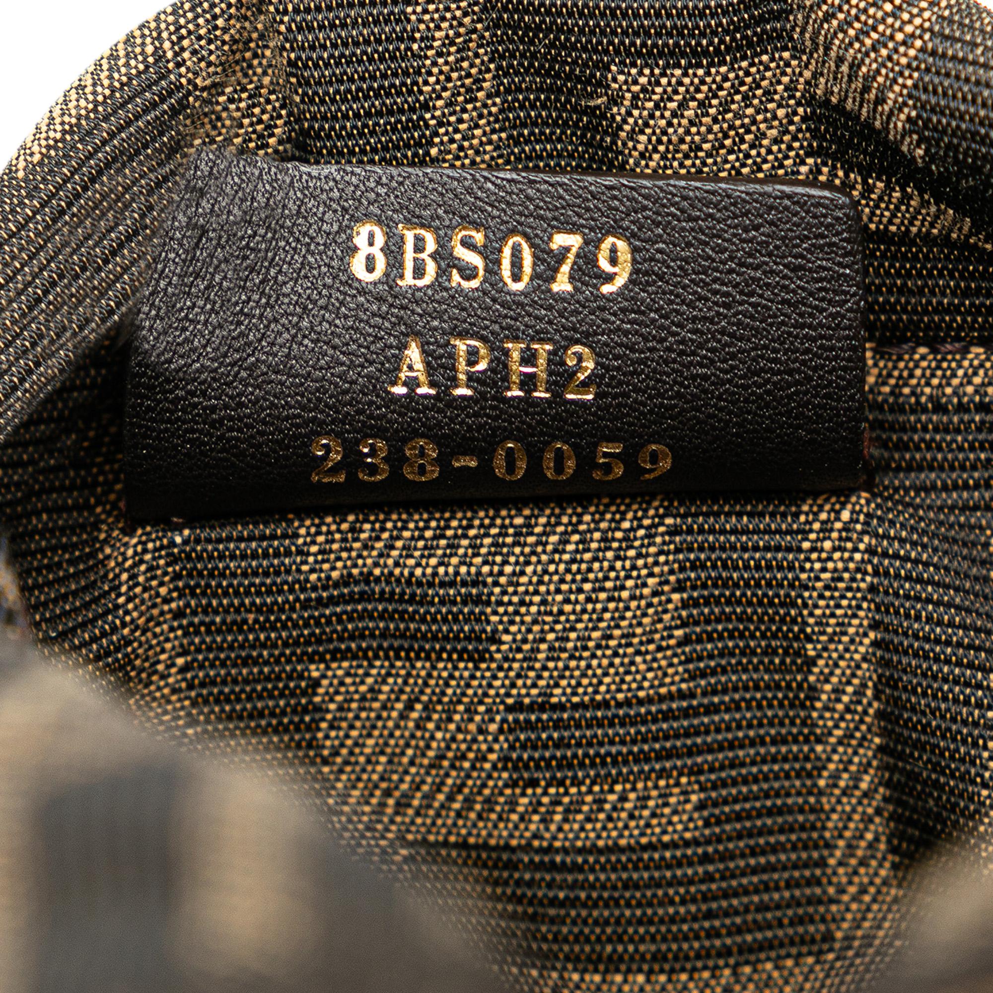 Fendi Mini Straw and Canvas Zucca Step Out Bag (SHG-VRfux8)