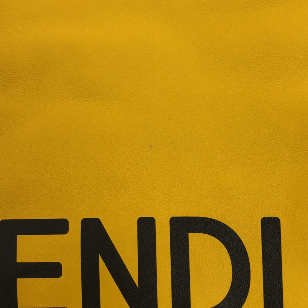 Fendi Pack Pouch Bag (SHG-6T5Eyl)