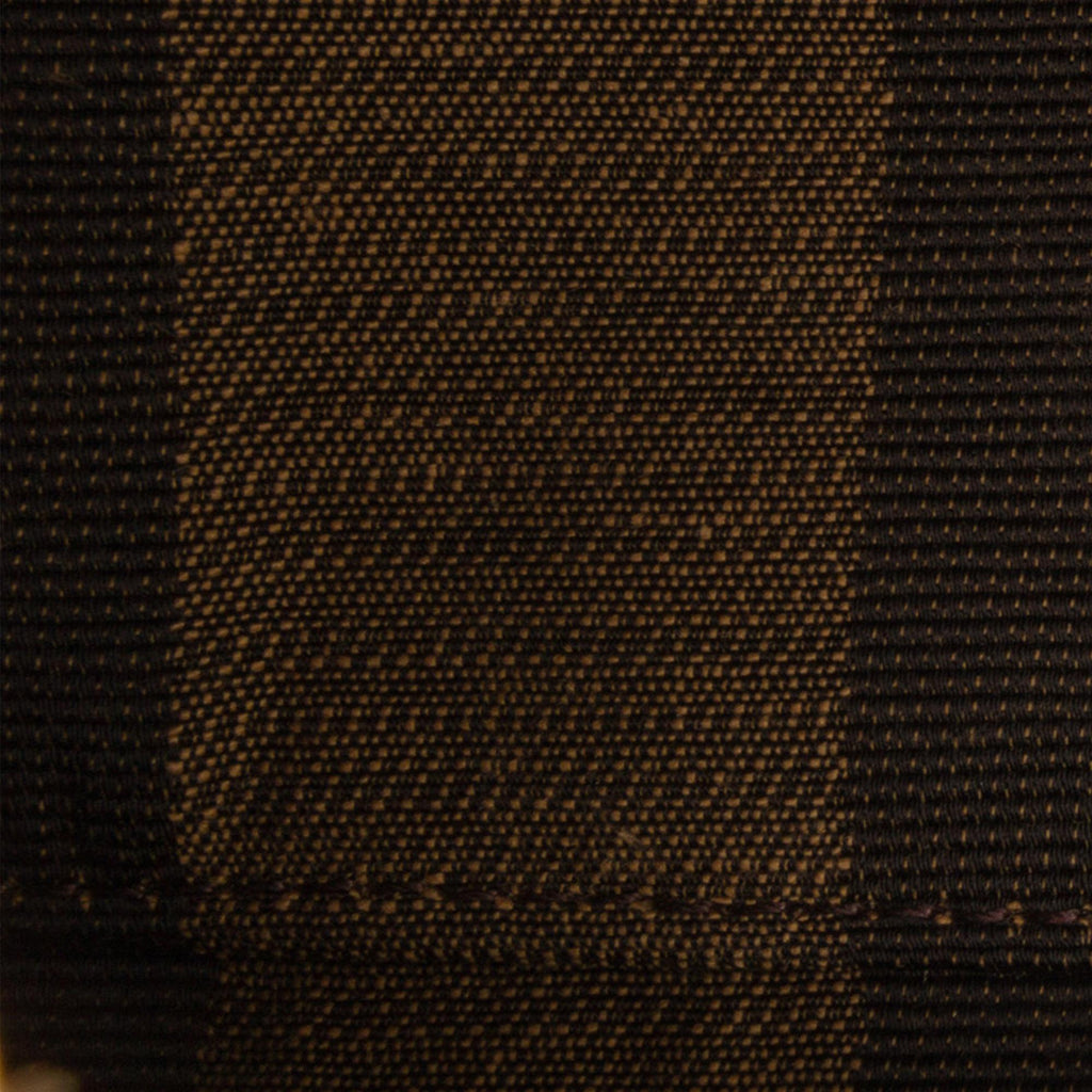 Fendi Pequin Canvas and Raffia Baguette (SHG-LMio6U)