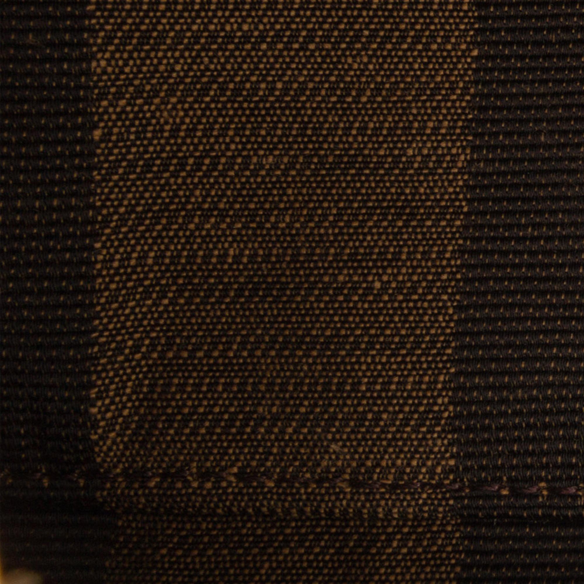 Fendi Pequin Canvas and Raffia Baguette (SHG-LMio6U)