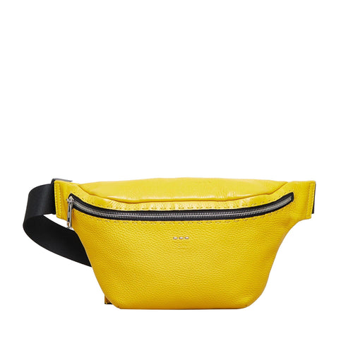 Fendi Selleria Belt Bag (SHG-9ioarO)