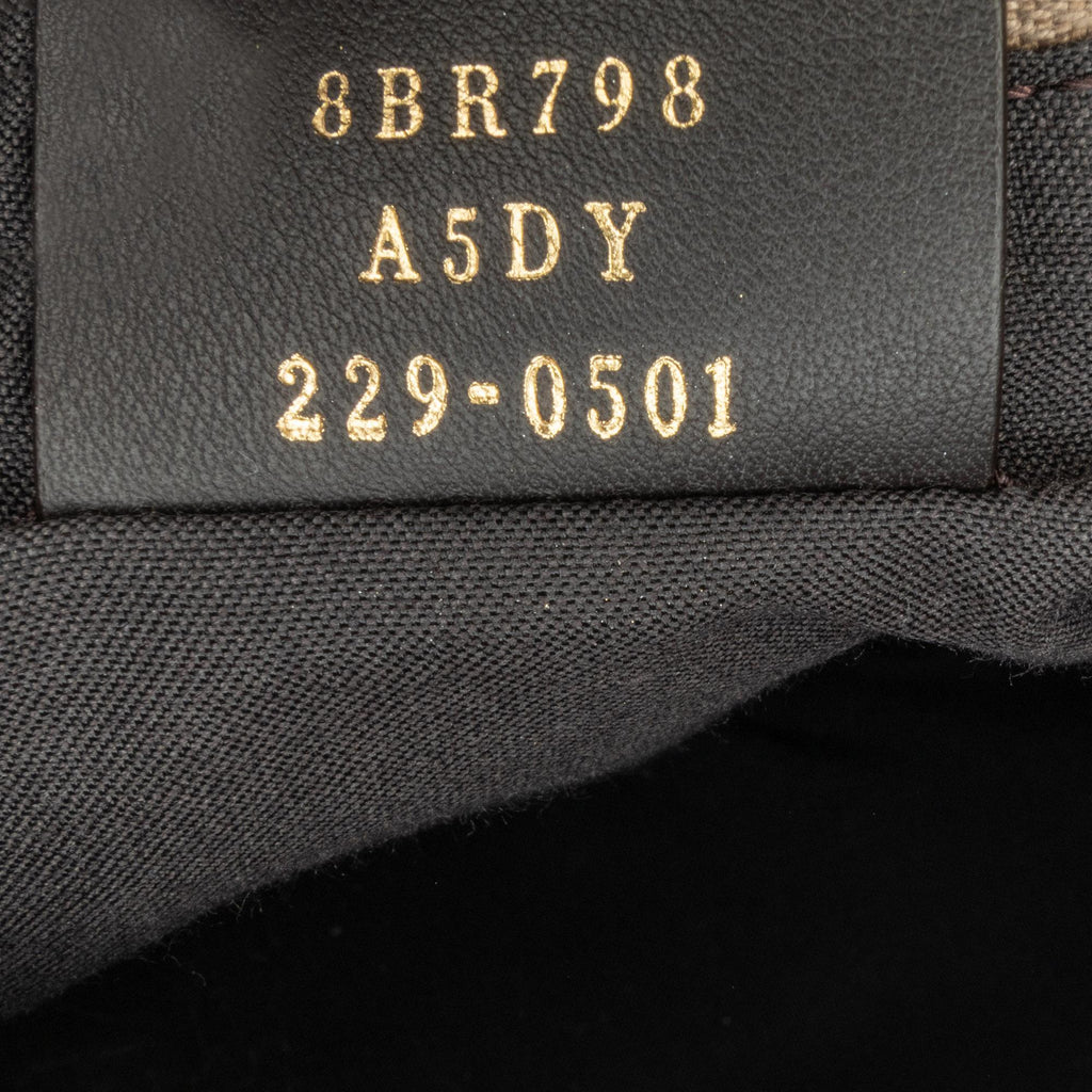 Fendi Small Leather Fendigraphy Hobo (SHG-AnEKhL)