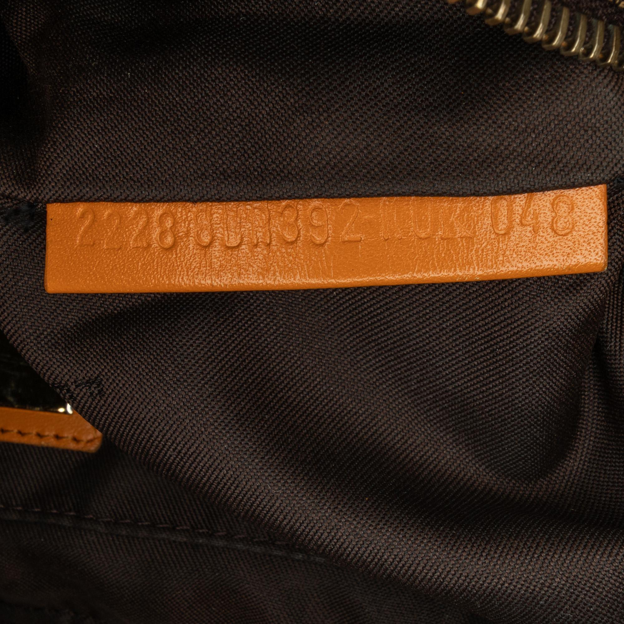 Fendi Zebra Print Canvas Hobo (SHG-RSZLfY)