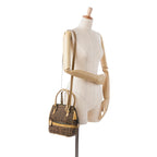Fendi Zebra Print Canvas Satchel (SHG-osFG5D)