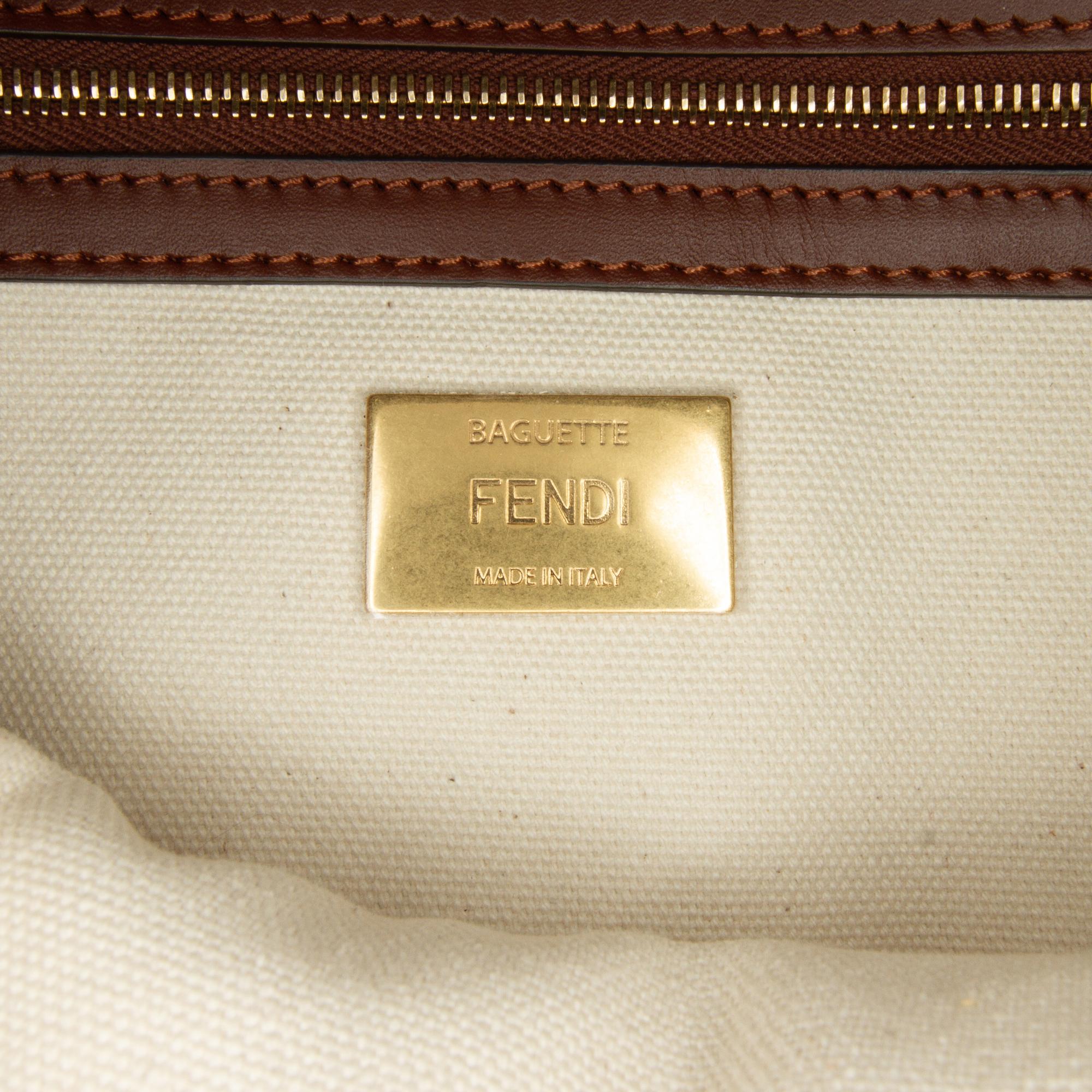 Fendi x Sarah Coleman Fisheye Baguette (SHG-BRGz6G)