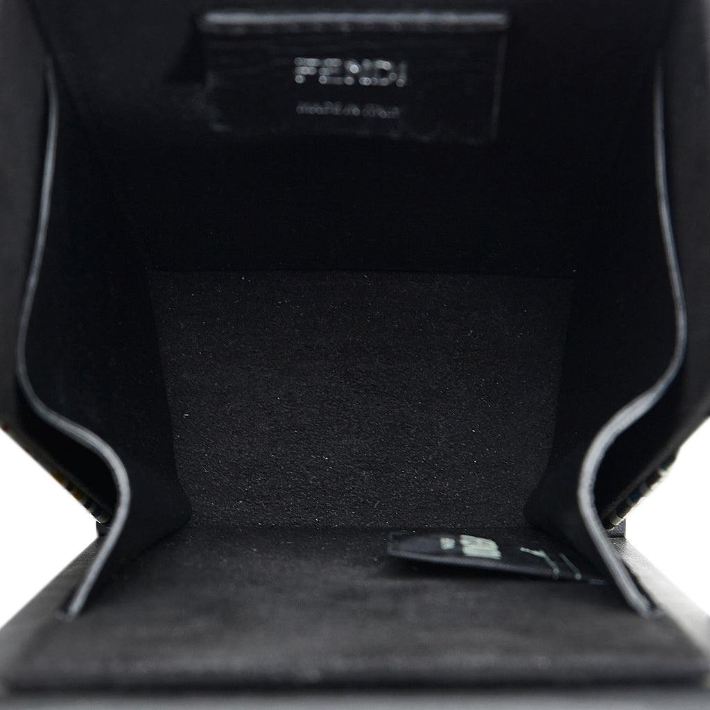 Fendi x Sarah Coleman Vertigo Vertical Box Bag (SHG-vO0ScI)