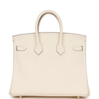 Hermes Birkin 25 Nata Swift Gold Hardware