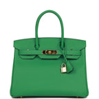 Top Quality Hermes Birkin 30 Cactus Epsom Gold Hardware