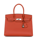 Hermes Birkin Sellier 30 Terre Battue Epsom Palladium Hardware