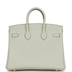 Hermes Birkin 25 Gris Neve Togo Gold Hardware