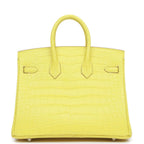 Hermes Birkin 25 Lime Matte Alligator Palladium Hardware