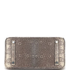 Hermes Birkin 25 Ombre Shiny Salvator Lizard Palladium Hardware