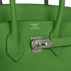 Hermes Birkin 25 Vert Yucca Togo Palladium Hardware