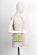 CHRISTIAN DIOR Caro Zipped Pouch with Chain Cedar