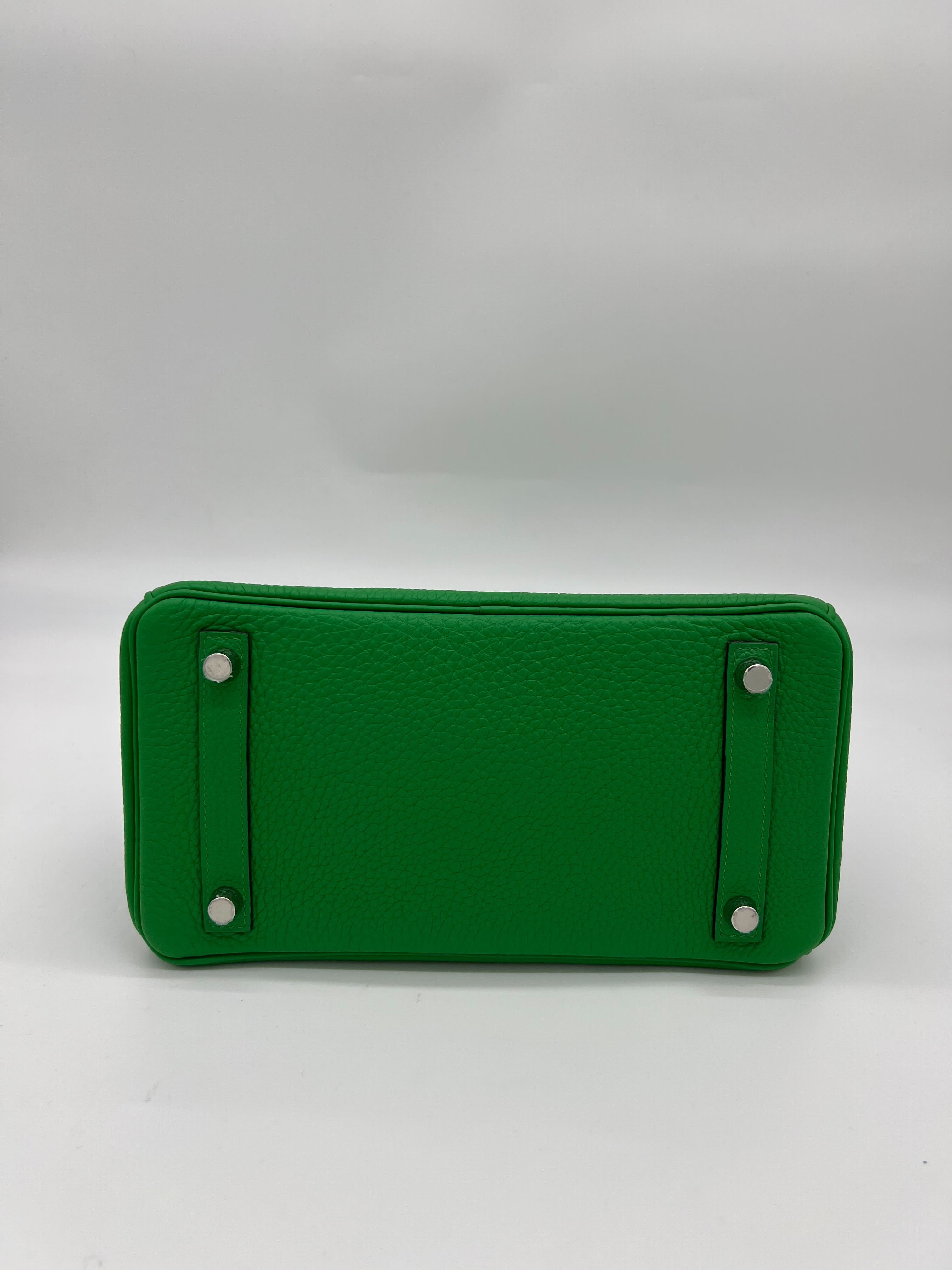 Hermes Birkin 25 Shiny Crocodile and Togo Vert Bambou Palladium Hardware