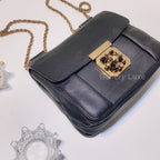 No.3790-Chloe Elsie Small Shoulder Bag