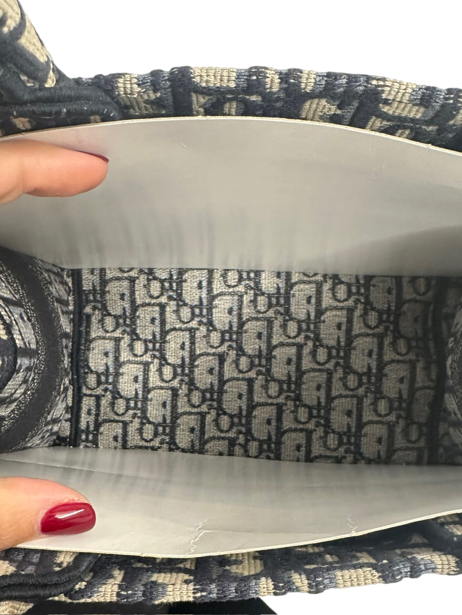 DIOR - Ecru Blue Oblique Embroidered Small Book Tote