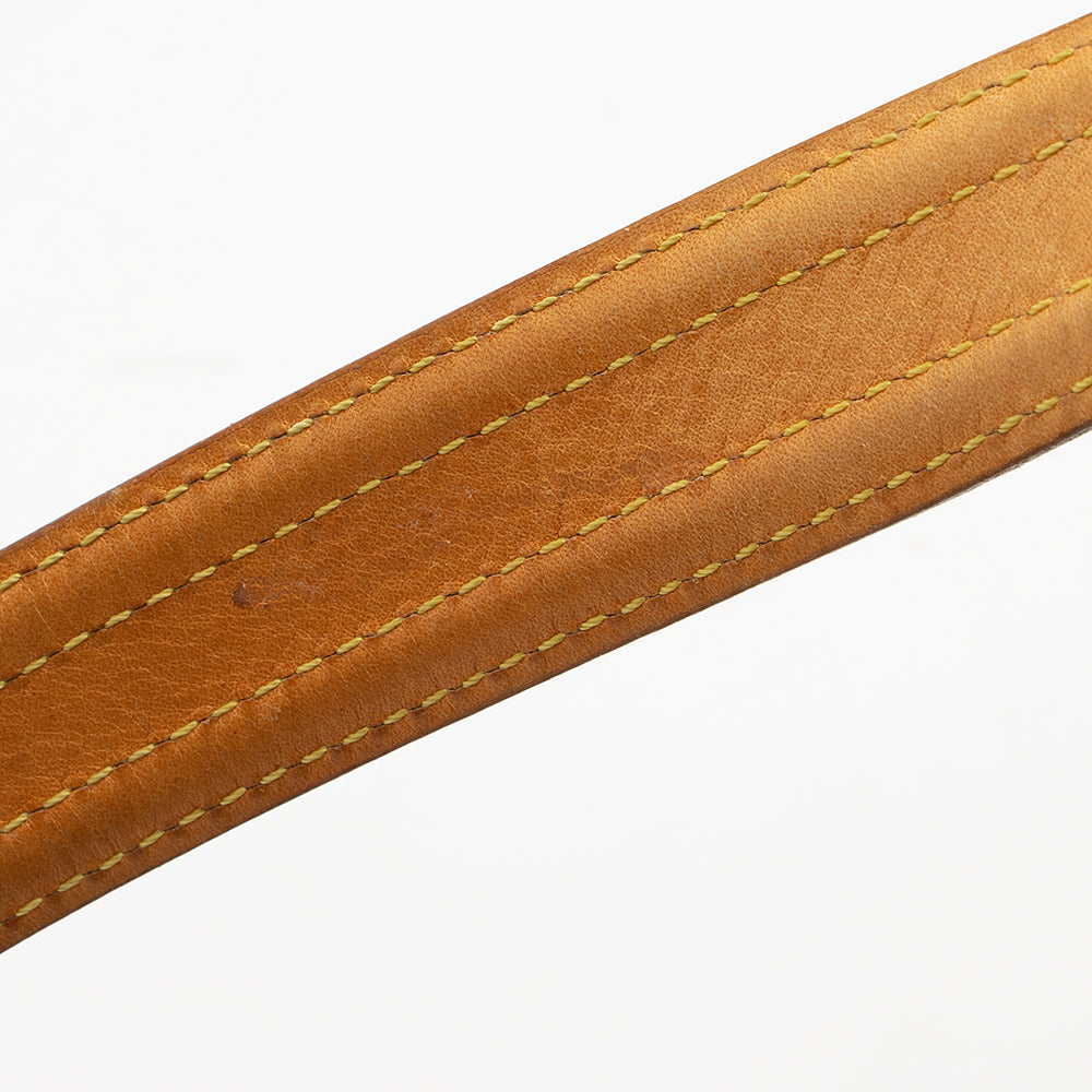 Louis Vuitton Monogram Canvas Viva Cite GM Shoulder Bag (SHF-19067)