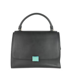 CELINE Trapeze Calfskin Leather and Suede Bag