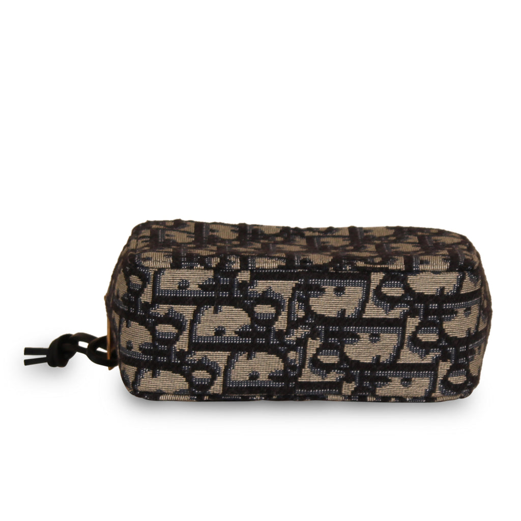 Dior Mini Belt Bag - Oblique Canvas