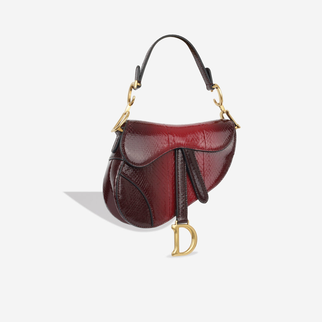 Dior Mini Saddle Bag