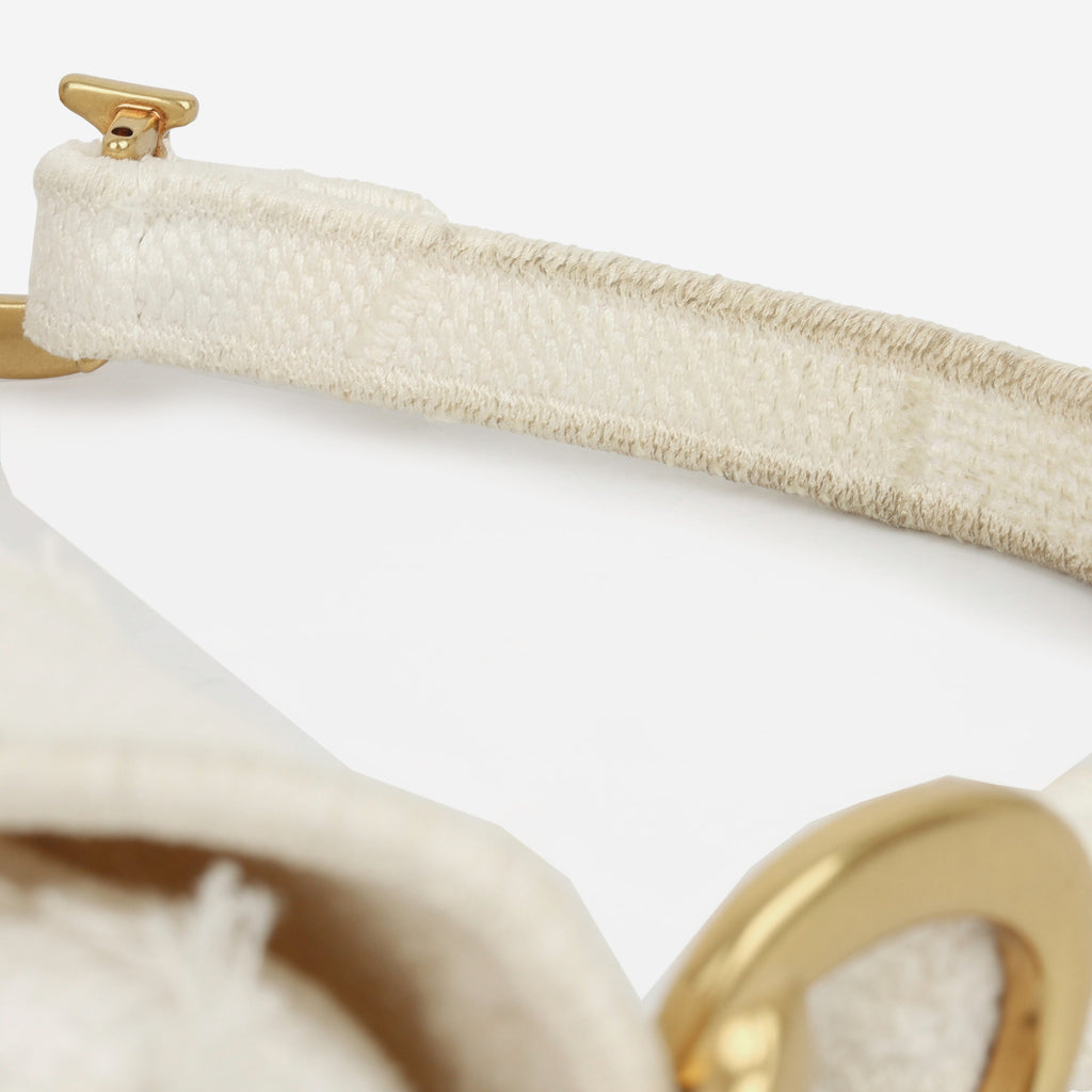 Dior Mini Saddle Bag