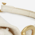 Dior Mini Saddle Bag