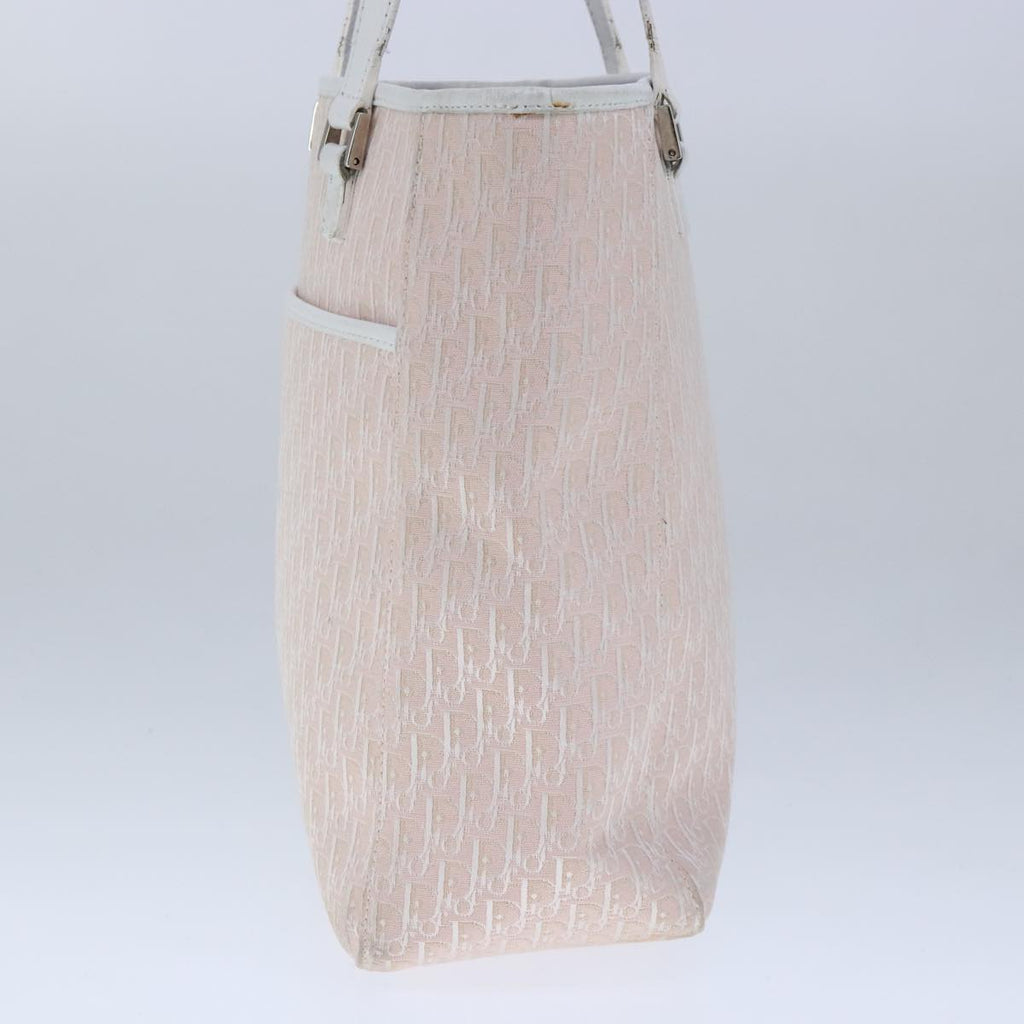 Dior Trotter  Canvas Tote Bag (Pre-Owned)
