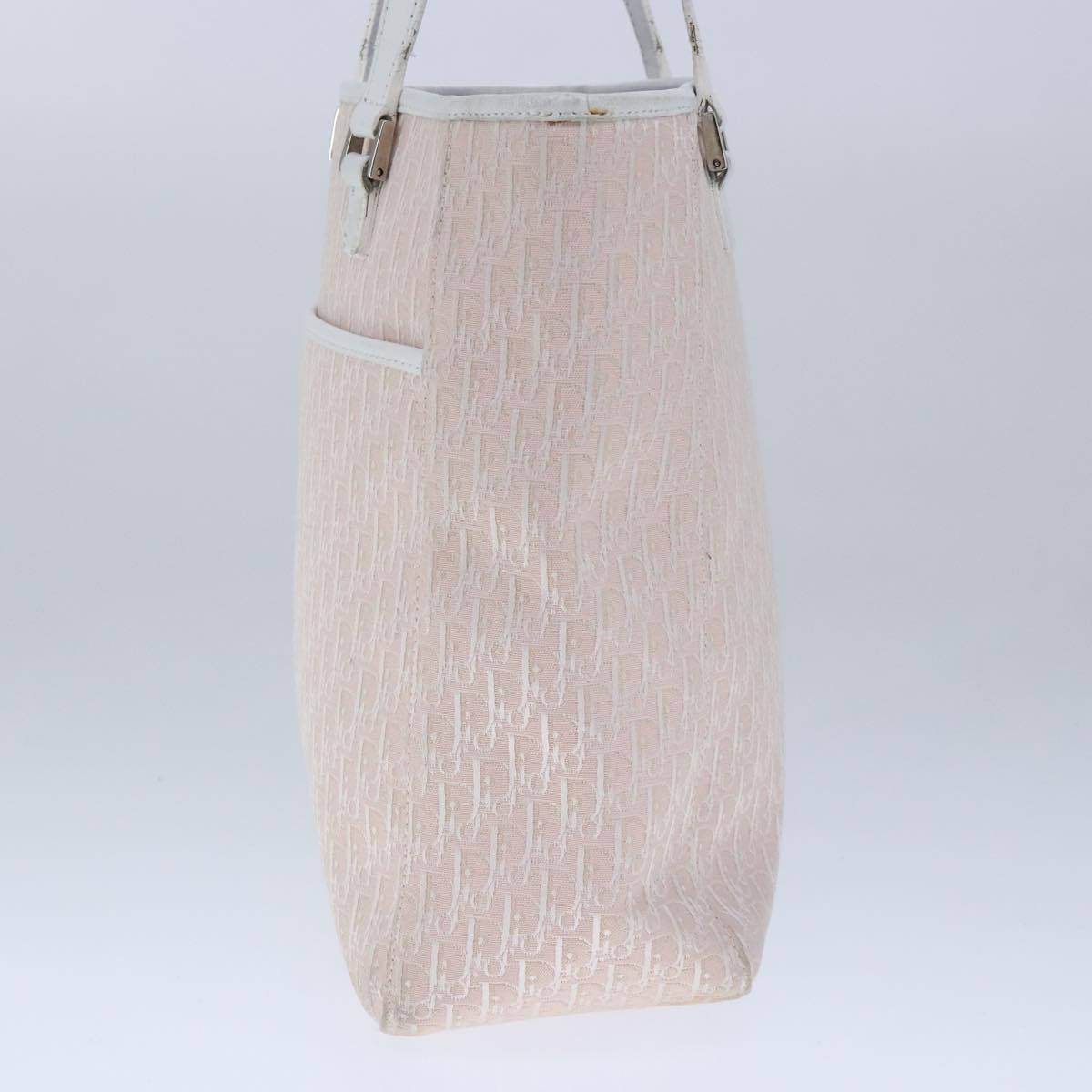Dior Trotter  Canvas Tote Bag (Pre-Owned)
